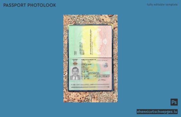 Vorschau: Beispiel für ein Passfoto aus Guinea-Bissau